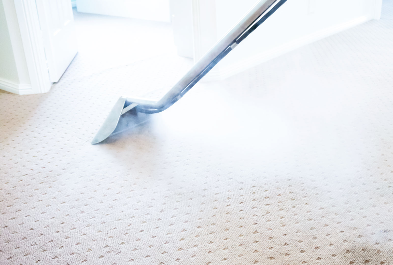 Carpet Steam Clean Room2b