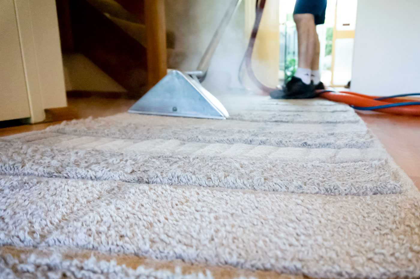 Ryde Carpet & Rug Cleaning Professional Carpet, Rug, Tiles and