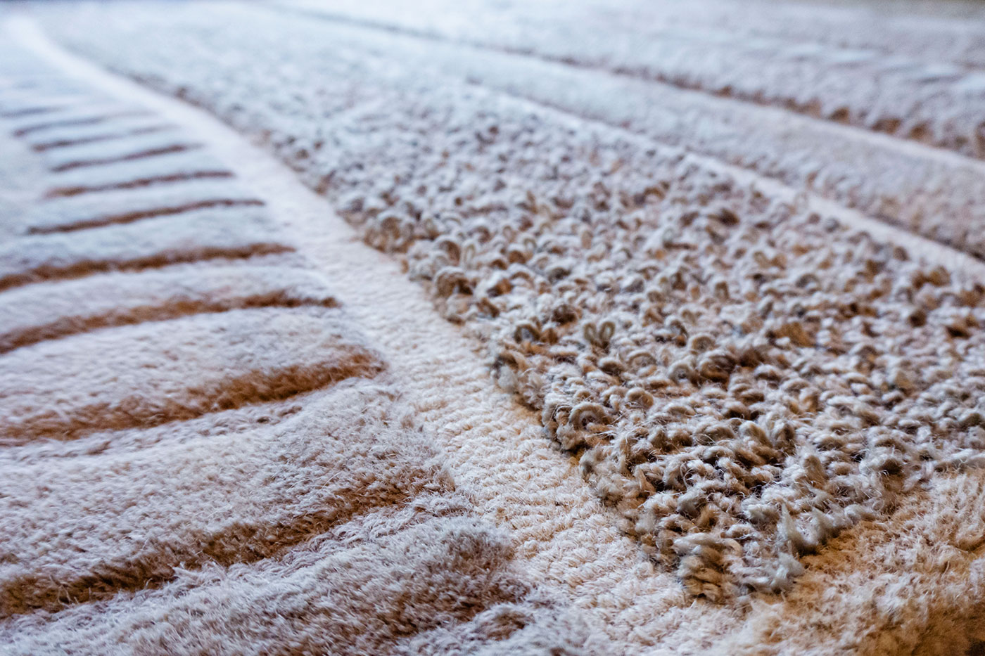 Ryde Carpet & Rug Cleaning Professional Carpet, Rug, Tiles and