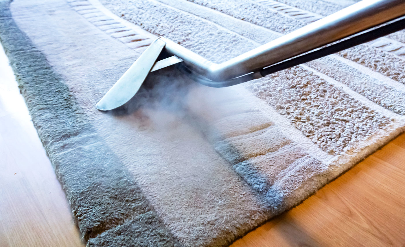 Image result for Carpet and Rug Cleaning